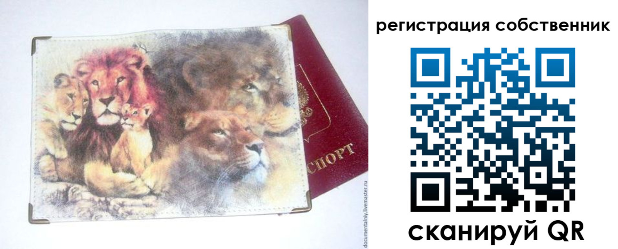 прописка для кредита в Дубне